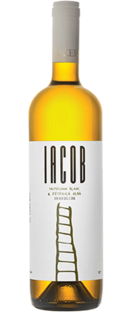 Iacob Alb